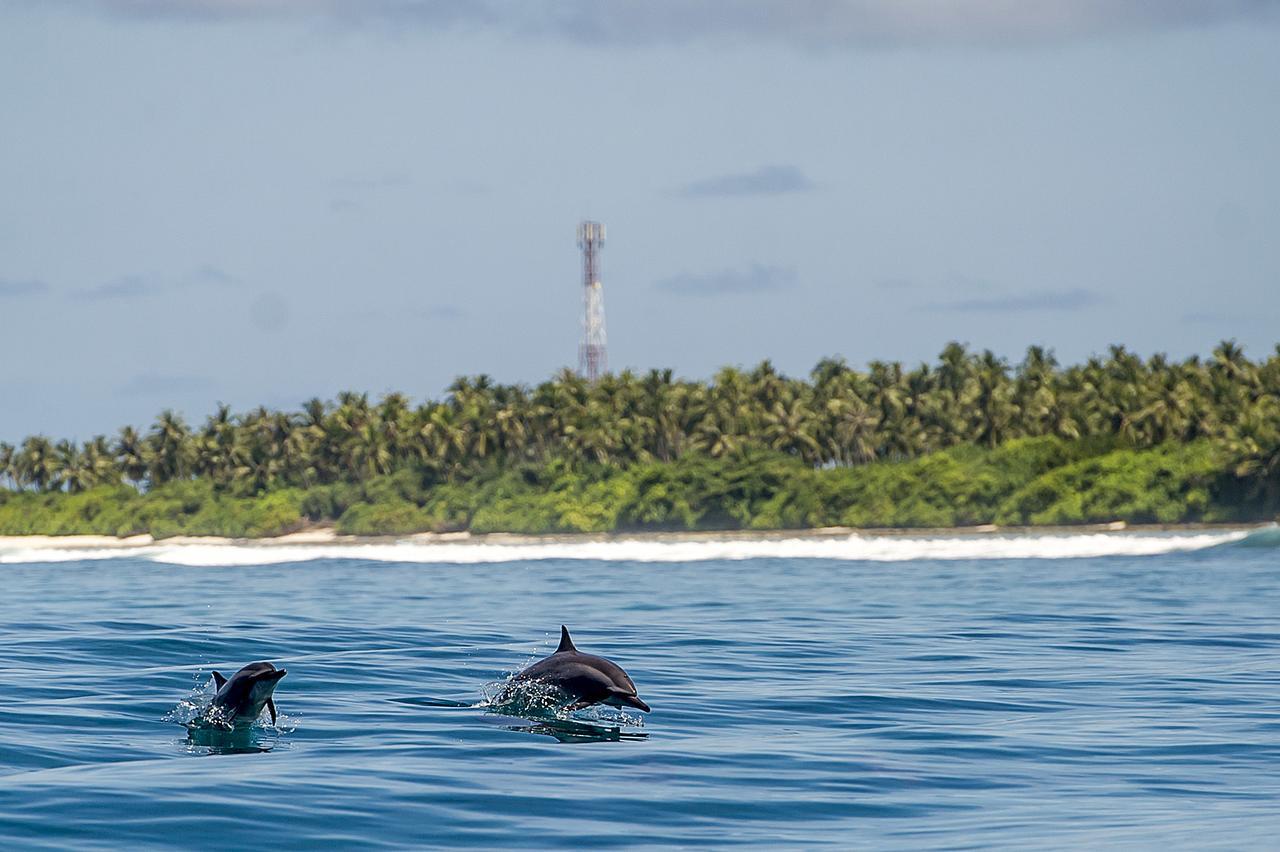 Detour Beach View Hangnaameedhoo 외부 사진